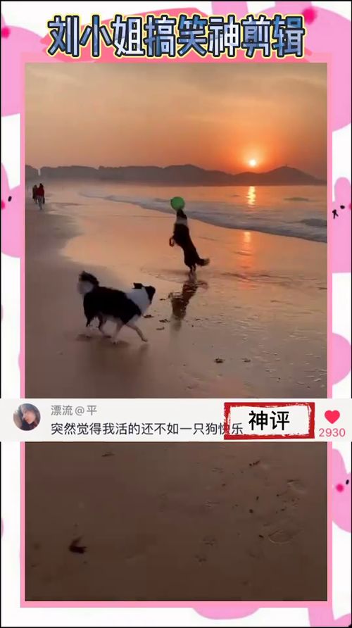 (治愈 疗愈)开启治愈之旅：抚慰身心，重获内心平静与快乐的旅程