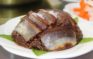 王中王精准资料大全免费|解锁生活小技巧分享_收藏集.5.865