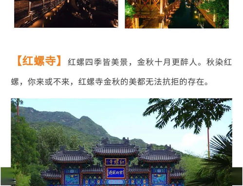 黄大仙资料大全的准确性|探索城市新风尚与秘密角落_S版.2.441