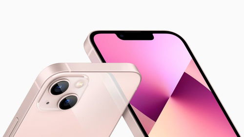 新澳49码资料免费大全|探索未来科技无限可能_娱乐版IPHONE.8.94